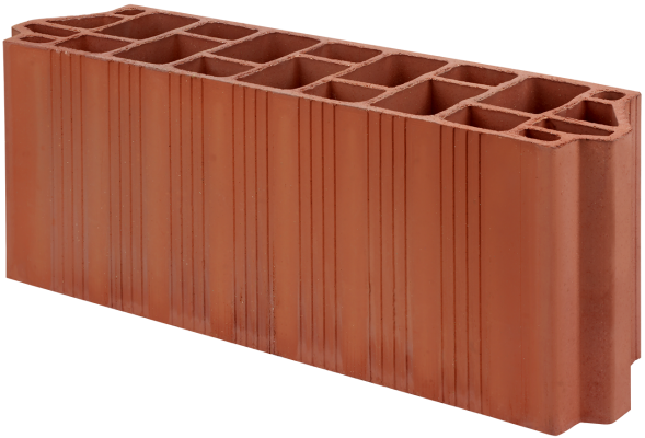 Bov.17 RECORTADA SIN FONDO