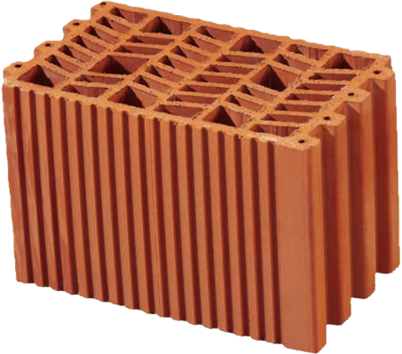 T19 RECORTADA SIN FONDO